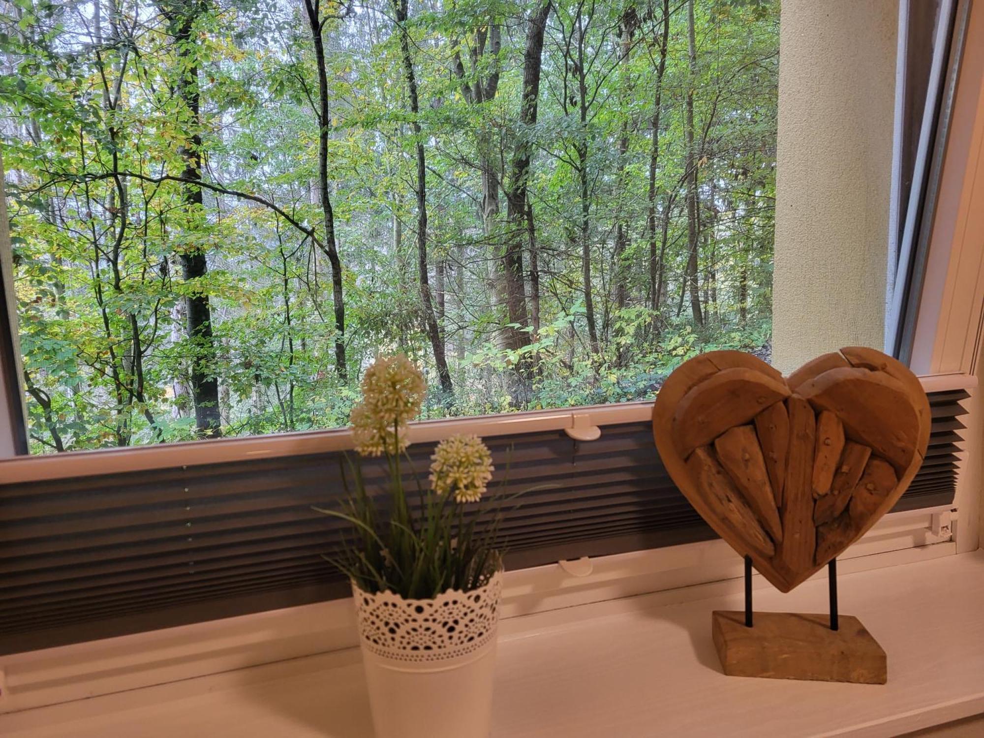 Modernisierte Ferienwohnung Naturseelen Mit Schwimmbad Und Sauna ブラウンラーゲ エクステリア 写真