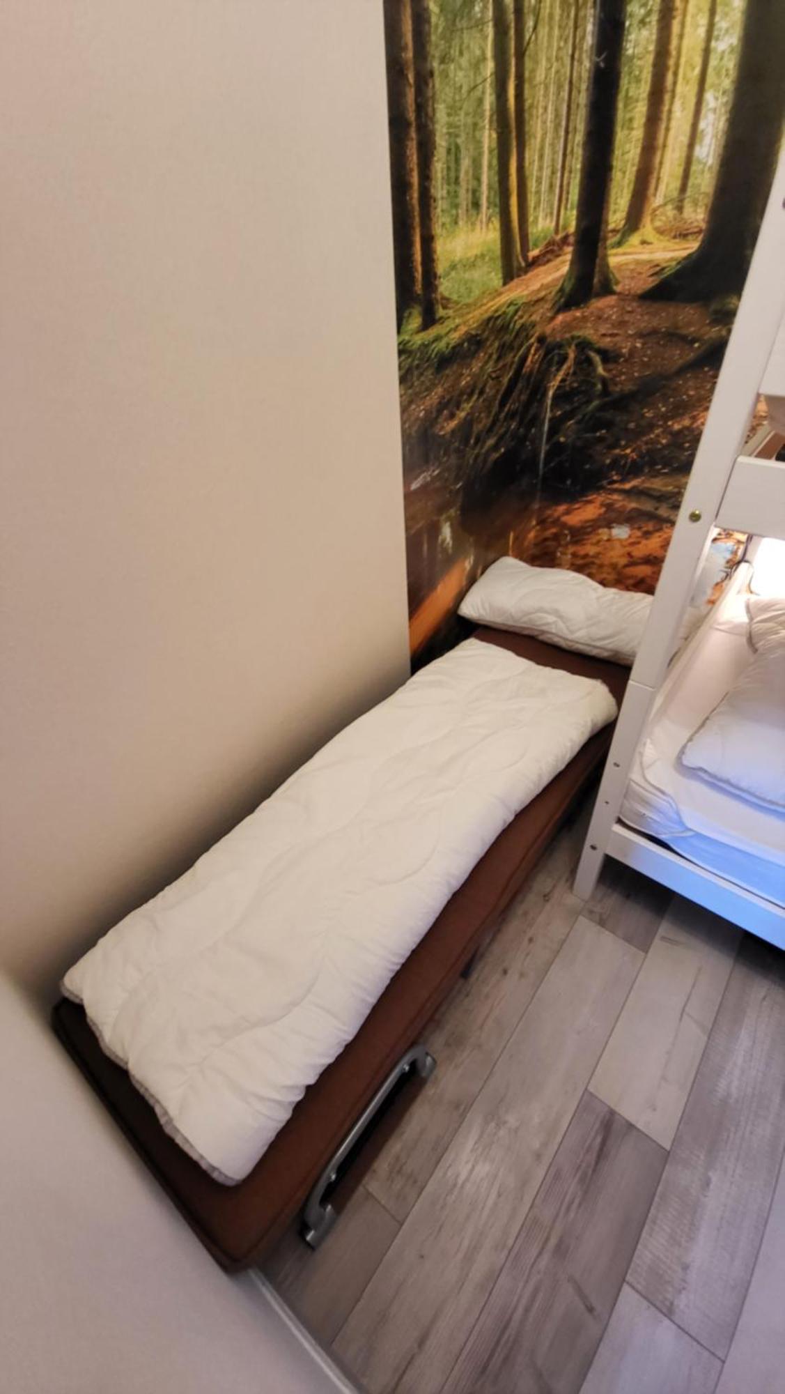 Modernisierte Ferienwohnung Naturseelen Mit Schwimmbad Und Sauna ブラウンラーゲ エクステリア 写真